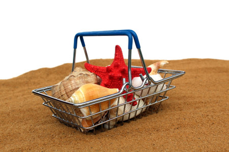 A decorative shopping basket with various shells stands on the sand.の写真素材
