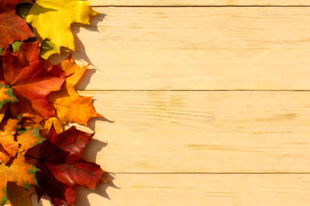 Autumn maple leaves lie on a wooden background with place for text.の写真素材