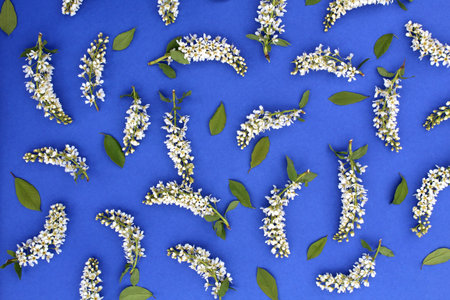 The texture on a blue background lies a lot of bird cherry flowers.