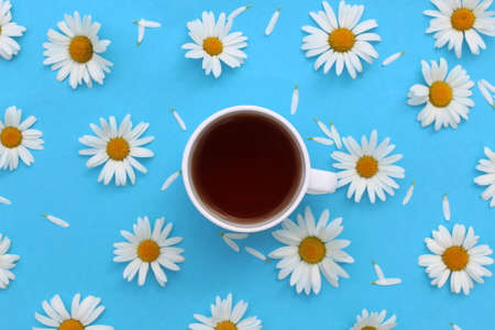 A white cup of chamomile tea stands on a blue background.の写真素材