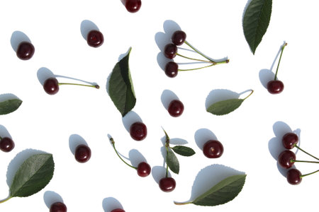 Cherry background scattered over white background.の写真素材
