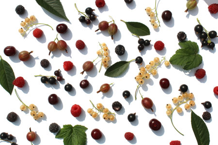 Texture from different berries on a white background.の写真素材