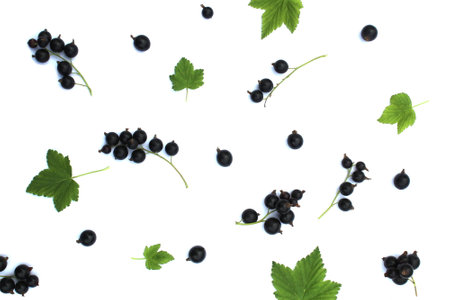 Texture of black currant with green leaves on a white isolated background.の写真素材