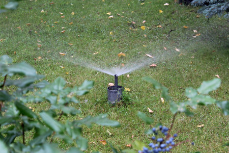 On the backyard lawn on an autumn day, water splashes the lawn.の写真素材