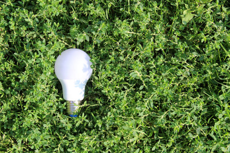 A white light bulb for lighting lies in the grass.