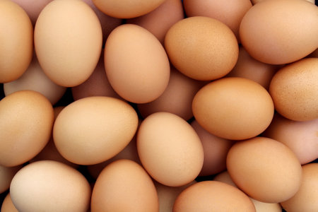 Texture from a large number of chicken eggs close-up.の写真素材