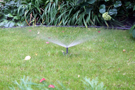 On the backyard lawn on an autumn day, water splashes the lawn.の写真素材