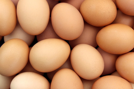 Texture from a large number of chicken eggs close-up.の写真素材