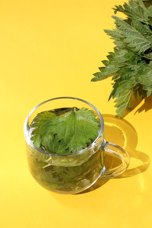 A drink made from nettle leaves stands on a yellow background.の写真素材