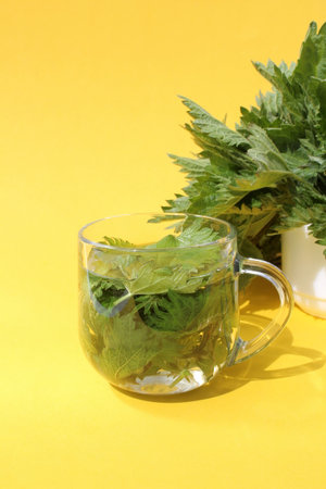 A drink made from nettle leaves stands on a yellow background.の写真素材