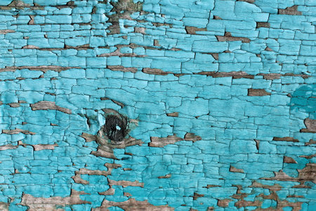Texture of painted wood with old cracked turquoise paint.の写真素材