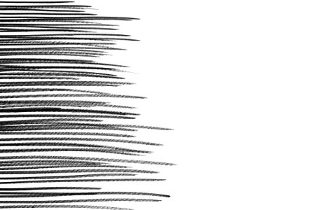Line strokes are drawn with a black marker on a white isolated background.の写真素材