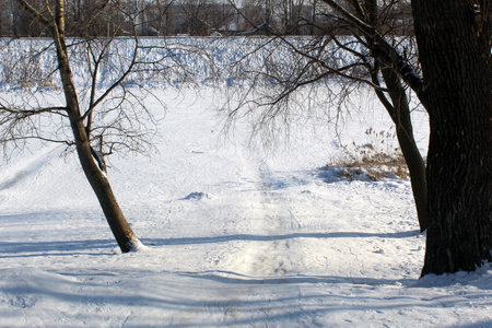 Winter landscape on a sunny day. On the bank of the river, people rolled up a hill.の写真素材