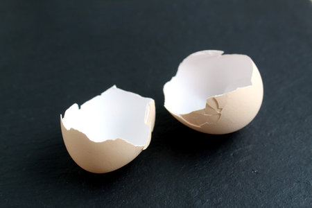 Two parts of the shell of one egg lie on a black background.