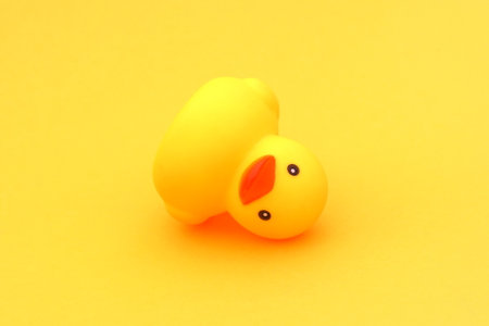 A yellow rubber duck on a yellow background.の写真素材