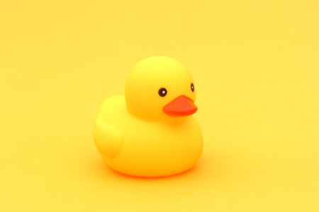 A yellow rubber duck stands on a yellow background.の写真素材