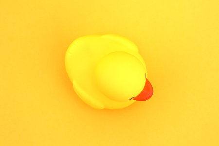 A yellow rubber duck stands on a yellow background.の写真素材
