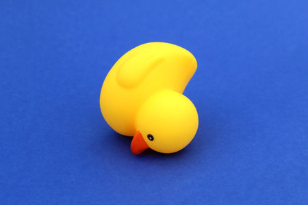 A yellow rubber ducky stands on a blue background.の写真素材