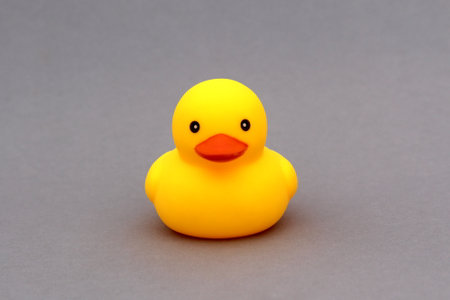 A yellow rubber duck toy stands on a gray background.の写真素材