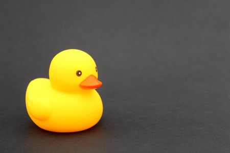 A yellow rubber duck stands on a black background.の写真素材