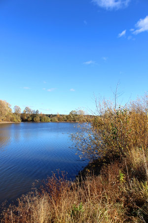 Autumn landscape on the lake shore on a clear warm sunny day.の写真素材