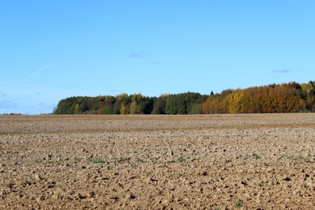 Autumn landscape, plowed field on the edge of the forest on a sunny clear day.の写真素材