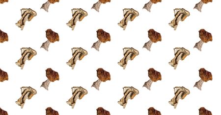 Dry white mushroom on a white background. Isolate. Vegan and vegetarian food.の写真素材