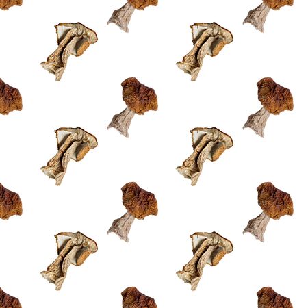 Dry white mushroom on a white background. Isolate. Vegan and vegetarian food.の写真素材
