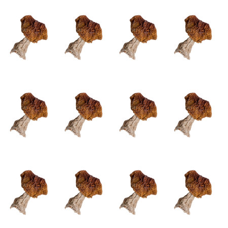 Dry white mushroom on a white background. Isolate. Vegan and vegetarian food.