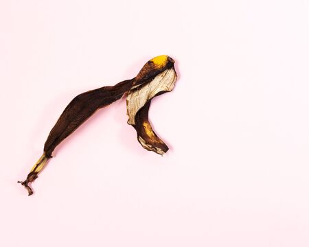 The dried skin of a banana is similar to the dry skin of a persons face. Design concept of death. This is the withering before the end. The beauty of the Design concept.の写真素材