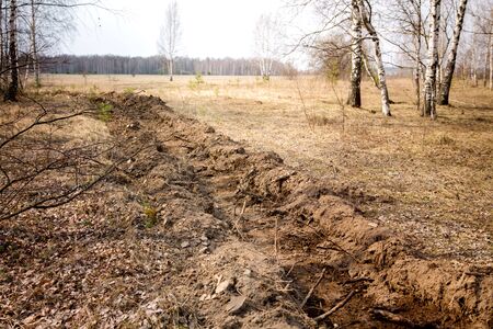 Spring forest. Fire services made a moat to prevent a fire in the forest. The roots of the trees are injured and broken. Harm to nature.の写真素材