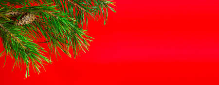 New year or Christmas banner on a red background. Green spruce branch as a symbol of Christmas. Greeting card with space for text.の写真素材