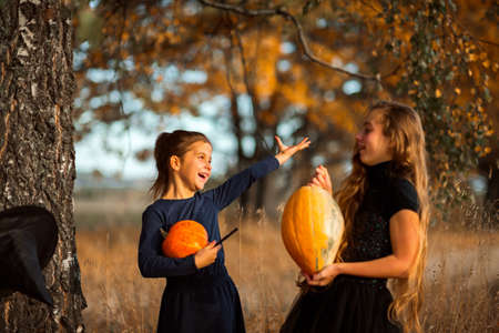 Two teenage girls prepare orange pumpkins for Halloween.の写真素材