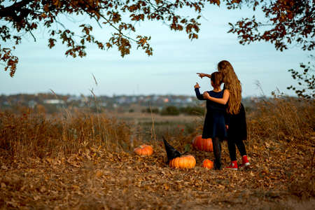 Two teenage girls prepare orange pumpkins for Halloween.の写真素材