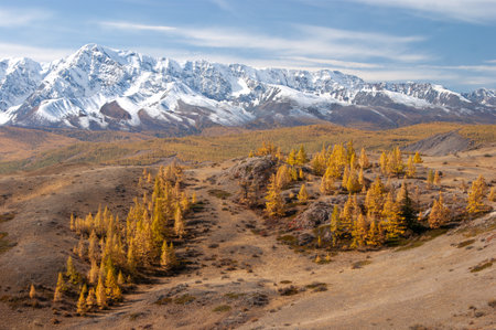 Autumn in the Altai Mountains, Russia. Chuya ridge. September 2024.の写真素材