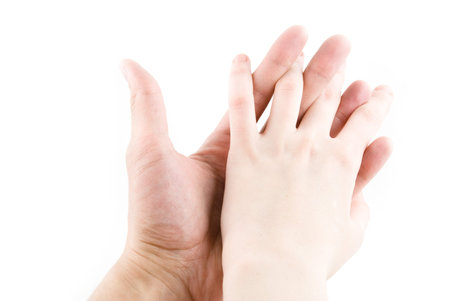 two hands on the white background