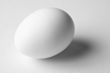 White egg on a white backgroundの写真素材