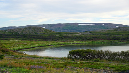 A northern bay in summer tundra.の写真素材