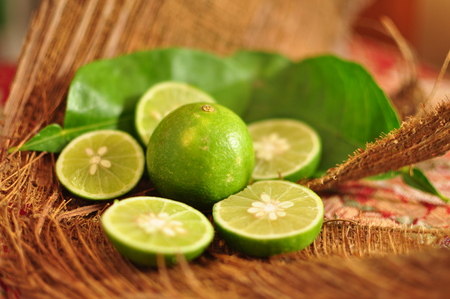 Fresh lime. Fruits and vegetablesの写真素材