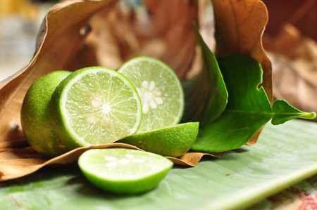 Fresh lime. Fruits and vegetablesの写真素材