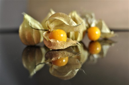 Cape gooseberry fruit.の写真素材