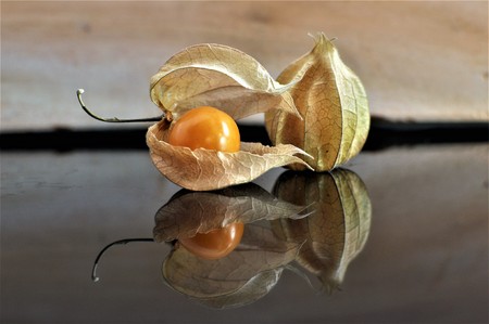 Cape gooseberry fruit.の写真素材