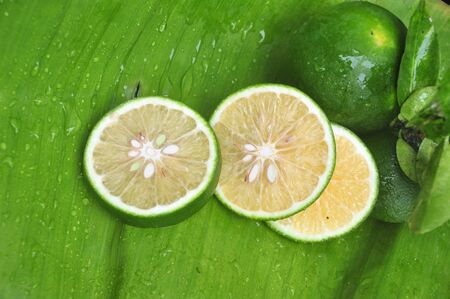 Fresh lime  slicesの写真素材