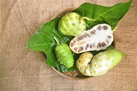 Noni Fruit   (Morinda citrifolia)の写真素材