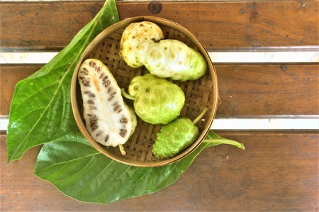 Noni Fruit   (Morinda citrifolia)の写真素材