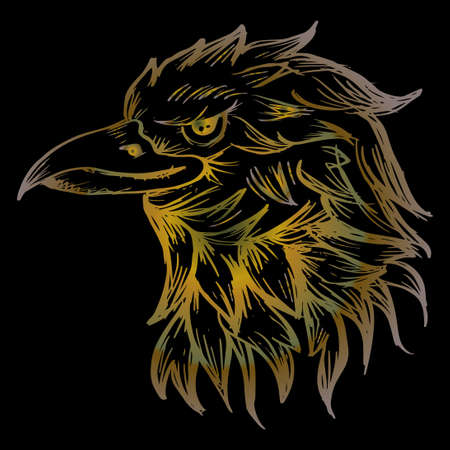 Hand sketch eagle head illustrationのイラスト素材