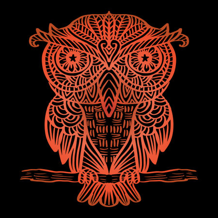Hand Drawn Owlのイラスト素材