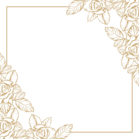 Doodle drawing rose frame backgroundのイラスト素材