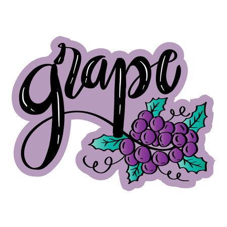 Purple grape typography lettering  text effect fontのイラスト素材