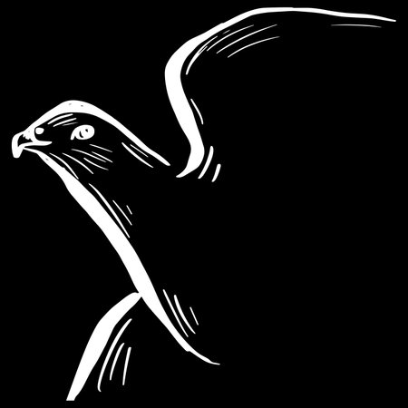 Simple eagle logo with black and white. Hand drawing illustration.のイラスト素材